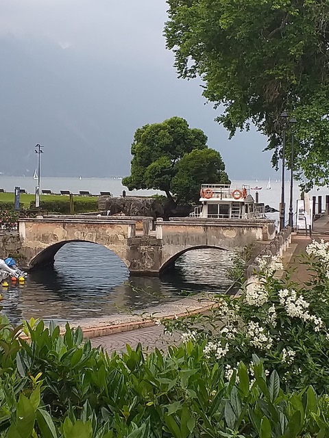 Photo de groupe Lac de Garde